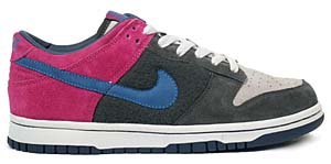 nike wmns dunk low [nordic pack] (308608-042) ナイキ ダンク ロー 「ノルディック パック」