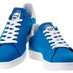 adidas skateboarding STAN SMITH SKATE [BLUEBIRD / WHITE / BLUEBIRD-CANVAS] (G99795)